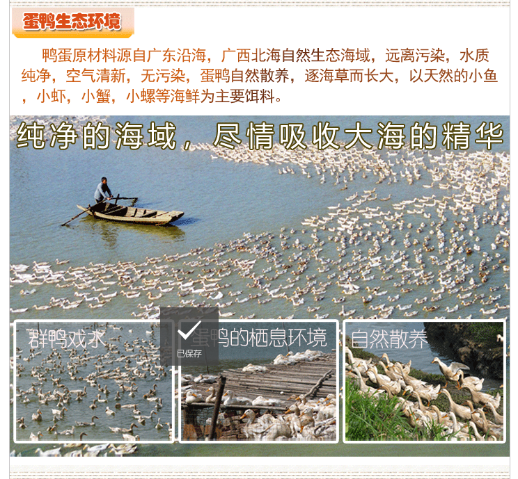 烤海鸭蛋礼盒装批发，招商加盟！(图6)