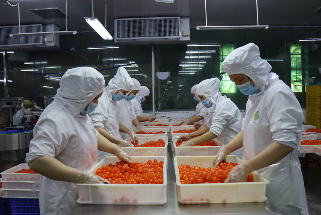 回味源咸蛋黄：月饼专用咸蛋黄日常存储及预处理合集（建议收藏）(图1)