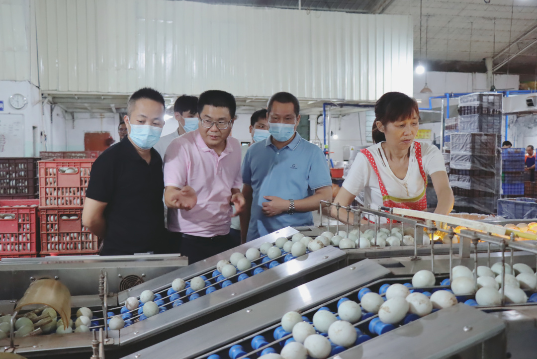 回味源高端定制咸蛋黄：回味源的咸蛋黄与其他品牌的有何不同？(图4)