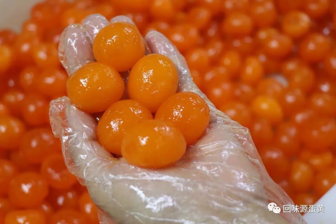 回味源咸蛋黄:蛋黄酥制作过程中,咸蛋黄的处理要诀(建议收藏)(图2) 1-24092G61241327.jpg