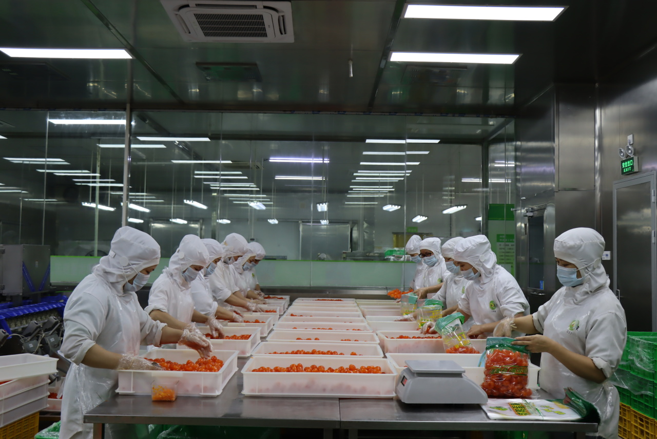 回味源高端定制咸蛋黄：好蛋黄，就用回味源！(图7)
