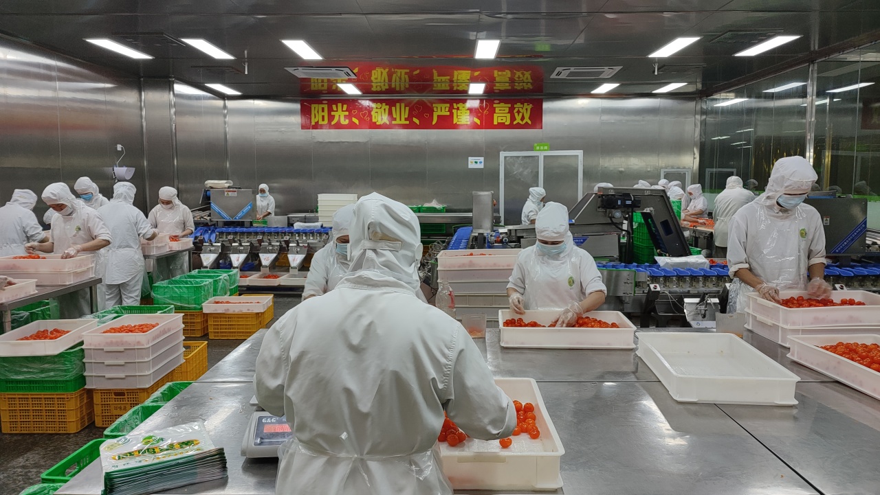 回味源高端定制咸蛋黄：2025，回味源专注咸蛋黄行业的第29年(图17)
