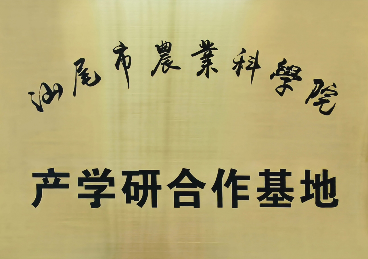 回味源高端定制咸蛋黄：2025，回味源专注咸蛋黄行业的第29年(图13)