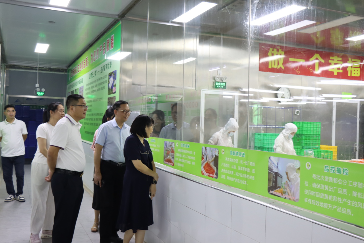 广州市农业农村局领导莅临我司参观指导，共绘农业高质量发展蓝图(图6)
