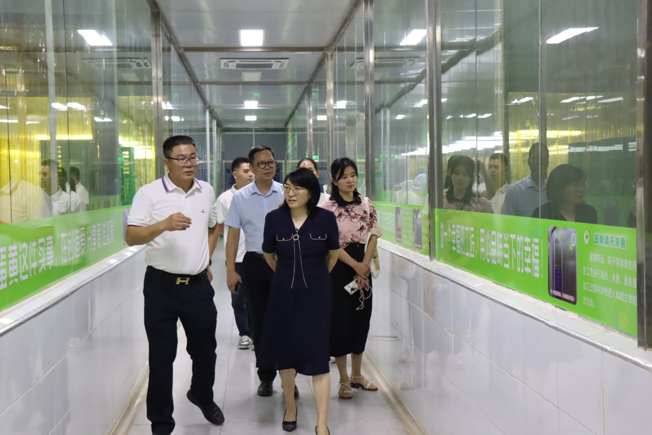 广州市农业农村局领导莅临我司参观指导，共绘农业高质量发展蓝图(图7)